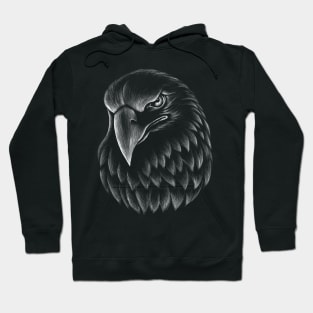 Eagle raven crow eagles US USA falcon magic t shirt t-shirt Hoodie